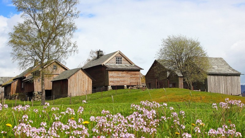 Torsdag 3. juni � Historiske M�lstertunet og heimreise